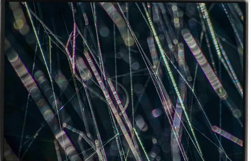 見えない「自然の秩序」を写真に刻む。高木由利子氏「chaoscosmos vol.3 ― visible viscosity 可視化された粘性」GYRE GALLERYにて開催